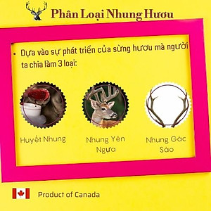 Nhung Hươu Uncle Bill Pure Canadian Elk Hộp 30 Viên, Nhập Khẩu Canada, Từ 75 Phần Nhung Tươi Yên Ngựa Của Loài Hươu Đỏ Sừng Tấm (Cervus Elaphus Canadensis) Mới Tạo Ra 1 Phần Nhung Hươu Tinh Chất, Món Quà Sức Khoẻ