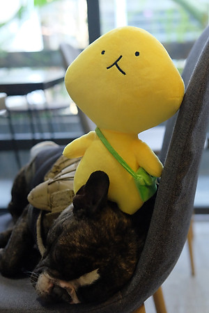 Thú nhồi bông Chuyện tào lao của Vàng Vàng - nhân vật Vàng Vàng