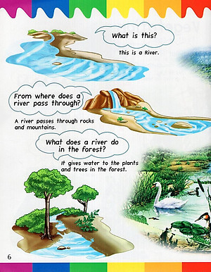 Sách My First Questions & Answers - Rainforest