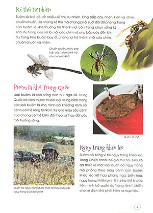 Thiên Nhiên- Những Bí Mật Còn Ẩn Giấu - Động Vật Quý Hiếm (Tái Bản 2019)- 2HBooks