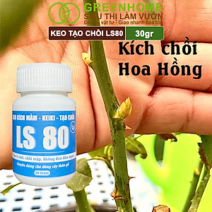 Keo Tạo Chồi LS80, Greenhome, Hũ 30gr, Tạo Mầm Tại Vị Trí Bất Kỳ, Có Chọn Lọc, Không Suy Cây, Đen Chồi