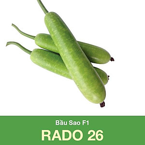 Hạt Giống Bầu Sao Lai F1 Rado 26 Rạng Đông (gói 10 hạt) , Sinh trưởng Mạnh, Kháng Bệnh Tốt, Thu sau 40_45 ngày Gieo