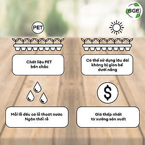 Khay Gieo Hạt/ Khay Ươm Cây Giống GT. Cho Năng Suất Cao, Cây Nhanh Lớn, Cây Con Khỏe, Dễ Sinh Trưởng. Thương Hiệu SGE
