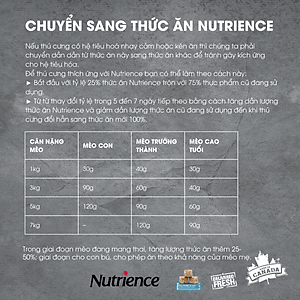 Thức Ăn Hạt Cho Mèo Nutrience Subzero bao 500g - Thịt Gà, Cá Trích, Cá Tuyết, Cá Đại Dương, Rau Củ Và Trái Cây Tự Nhiên