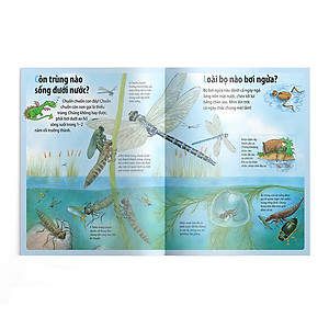 Sách Em muốn biết vì sao nhện giăng tơ và những câu hỏi khác về các loài côn trùng