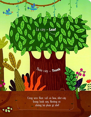 Sách Tương Tác - Lift-The-Flap - First 100 Plants - 100 Từ Đầu Tiên Về Thế Giới Thực Vật (Tái Bản)