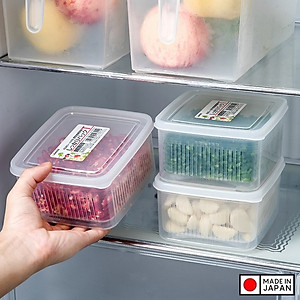 Bộ hộp thực phẩm 2 lớp Nhật Bản 1.1L (Made in Japan)