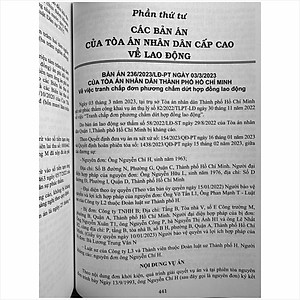 Sách Tuyển Tập Các Bản Án Của Tòa Án Nhân Cấp Cao Về Hành Chính - Kinh Doanh Thương Mại - Hôn Nhân Gia Đình - Lao Động (Dành cho Thẩm phán, Thẩm tra viên, Hội thẩm, Kiểm sát viên, Luật sư và các học viên tư pháp ) - TS. Trần Văn Hà (V2446A)