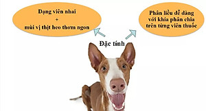 Vỉ 10 viên Inflacam kháng viêm, giảm đau trên chó (Virbac)