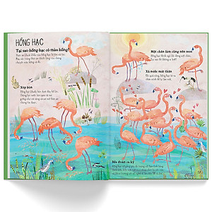 Sách A Lê Hấp! Thế Giới Chim