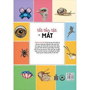 Sách Tất Tần Tật Về Mắt - All About The Eye