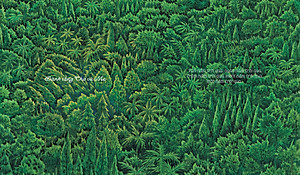 Sách Hòn Đá Xanh