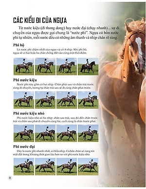 Sách Bách Khoa Tri Thức Về Khám Phá Thế Giới Cho Trẻ Em - Horses And Ponies - Loài Ngựa