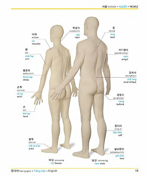 Sách Korean Vietnamese English Trilingual Dictionary