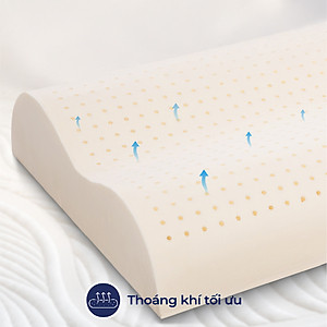 Gối Cao Su Liên Á Contour LAGC3050 (30 x 50 cm) - Trắng