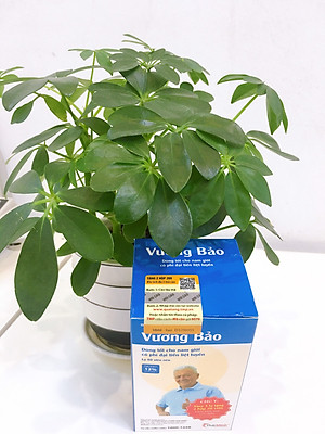 Vương bảo lọ 80 viên