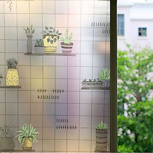 COMBO 3M DECAL DÁN KÍNH MỜ NHỮNG CHẬU CÂY XANH