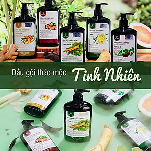 Dầu Gội Thảo Mộc Nhân Sâm Tinh Nhiên chăm sóc tóc chuyên sâu, giảm rụng tóc, giúp tóc mọc dày hiệu quả