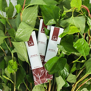 [CHÍNH HÃNG] Bột Diếp Cá Quảng Thanh 100% Nguyên Chất Sấy Lạnh - Hỗ trợ táo bón, trĩ, mát gan, giảm mụn - Hộp tiện lợi 