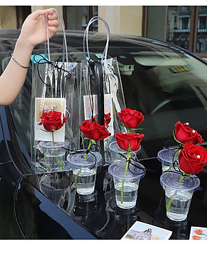 Túi Nhựa Trong Suốt Đựng Ly Giữ Nhiệt/Bình Giữ Nhiệt Tiện Lợi - Chính Hãng