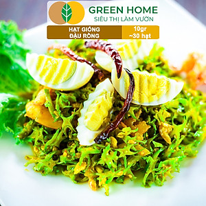 Hạt Giống Đậu Rồng Greenhome, Gói 10gr~30 hạt, Dễ Trồng Quanh Năm, Nảy Mầm Cao, Thu Hoạch Nhanh, Năng Suất Cao T08