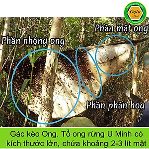 Mật Ong Rừng U Minh 300ml - OGINBEE, Thiên nhiên nguyên chất 100%