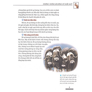 Combo: Khám Phá Bí Ẩn Thế Giới Tự Nhiên (Trọn Bộ 5 Cuốn)