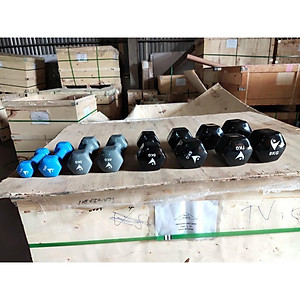 Bộ Tạ Loại 1kg bọc cao su (Tổng 2kg)