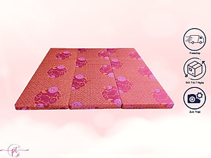 Nệm PE Hàn Quốc Cao Cấp Gấp 3 Dày 3cm - 5cm - 9cm Đủ Size Giao Màu Ngẫu Nhiên