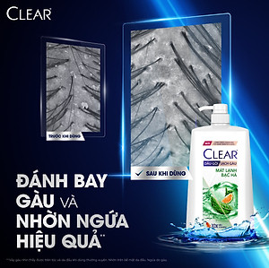 Dầu gội đầu Clear Mát Lạnh Bạc Hà sạch gàu ngứa và vi khuẩn suốt 48 Giờ 1.4kg