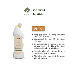 Nước Tẩy Bồn Cầu Hữu Cơ Diệt Khuẩn ECOCARE 1L Hương Cam Bạc Hà Thơm Mát, Chai Tẩy Rửa Nhà Vệ Sinh Siêu Sạch