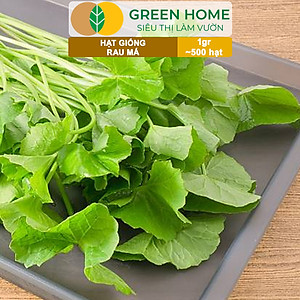 Hạt Giống Rau Má Greenhome, Gói 1g, Dễ Trồng Quanh Năm, Nảy Mầm Cao, Thu Hoạch Nhanh, Năng Suất Cao R12
