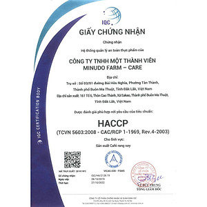 Cà phê HẠT CHƯA XAY AEROCO A9, gói 500g, pha máy, nguyên chất 100% rang mộc hậu vị ngọt thơm quyến rũ