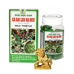 ￼Giải độc gan cà gai leo - xạ đen 50 Viên - Giúp bổ gan, bảo vệ tế bào gan, giải độc gan, Vinaphar