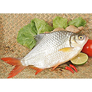 Đặc sản An Giang -CÁ MÈ VINH KHO LẠT đóng hộp 210g ANTESCO - Ocop 4 Sao