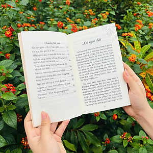 Sách - Không Được Như Ý Mới Thật Sự Hạnh Phúc (Tái Bản) - Vĩnh Nghiêm Books