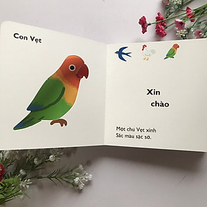 Cùng Chơi Trốn Tìm - Tập 9 : CÁC LOÀI CHIM