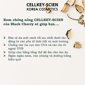 Kem Chống Nắng Tế Bào Gốc Kiềm Dầu Chống Nhăn Dưỡng Ẩm Trắng Da Cellkey-Scien Multi Perfect Sun Cream SPF50+PA++++ (50ml)