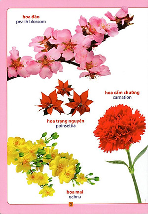 Sách Từ Điển Bằng Hình - Hoa, Quả, Rau, Củ
