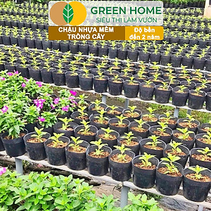 Chậu Trồng Cây Greenhome, nhiều kích thước, Nhựa Mềm, Dẻo, Nhẹ, Trồng Cây, Bầu Ươm Cây Giống, Độ Bền Đến 2 Năm