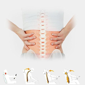 Gối tựa lưng xe hơi, ô tô cao cấp chất liệu 100% cao su non - 2 màu: Đen và Ghi - Mã: B01