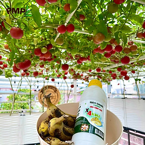 Combo Phân Bón Hữu Cơ Cho Cây Ăn Quả 1 Tricow và 1 Dịch Chuối x4 Kali