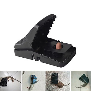 Combo 2 Thuốc diệt chuột, Kẹo diệt chuột tiêu diệt cả đàn chuột hàng Thái Lan Tặng kèm Bẫy Chuột Thông Minh 