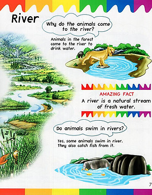 Sách My First Questions & Answers - Rainforest