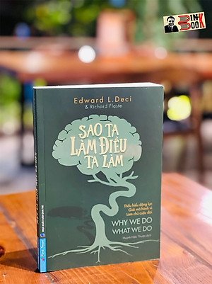 SAO TA LÀM ĐIỀU TA LÀM - Edward L. Deci - First News – bìa mềm
