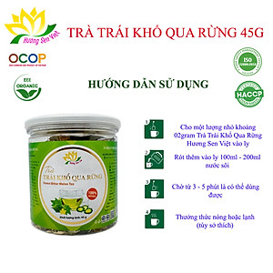 (COMBO 2 HŨ) TRÀ TRÁI KHỔ QUA RỪNG HŨ 45g - HƯƠNG SEN VIỆT
