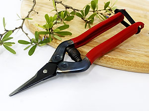 Kéo tỉa cành cao cấp Nhật Bản Chikamasa T-5C chiều dài lưỡi 35mm - lưỡi thép không gỉ chất lượng cao siêu bén - Cắt ngọt, không bám dính, liền sẹo nhanh