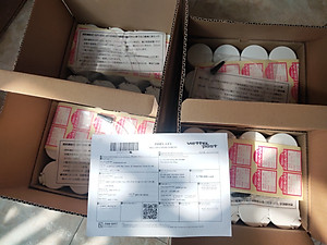 DUNG DỊCH VỆ SINH BUỒNG ĐỐT ICHINEN NX5000 240ml (JAPAN) - 1 chai