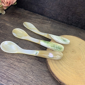 Thìa vỏ xà cừ - đuôi ốc biển cao cấp (CTH739) An kem/xúc gia vị/thìa cafe - An toàn cho sức khỏe 