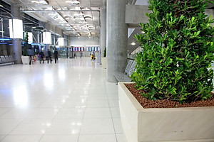 Viên đất sét nung (sỏi nhẹ leca / keramite) popper trồng xương rồng,sen đá, thủy canh, lọc nước THAILAND - 1 lít